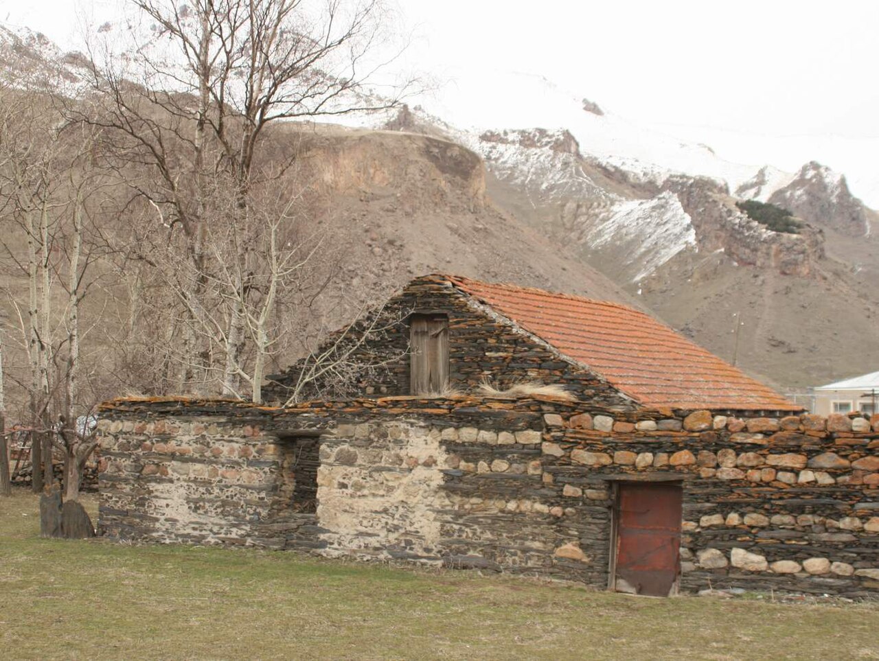 Арша