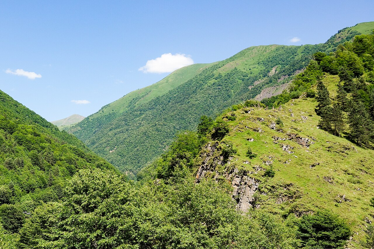 Барисахо
