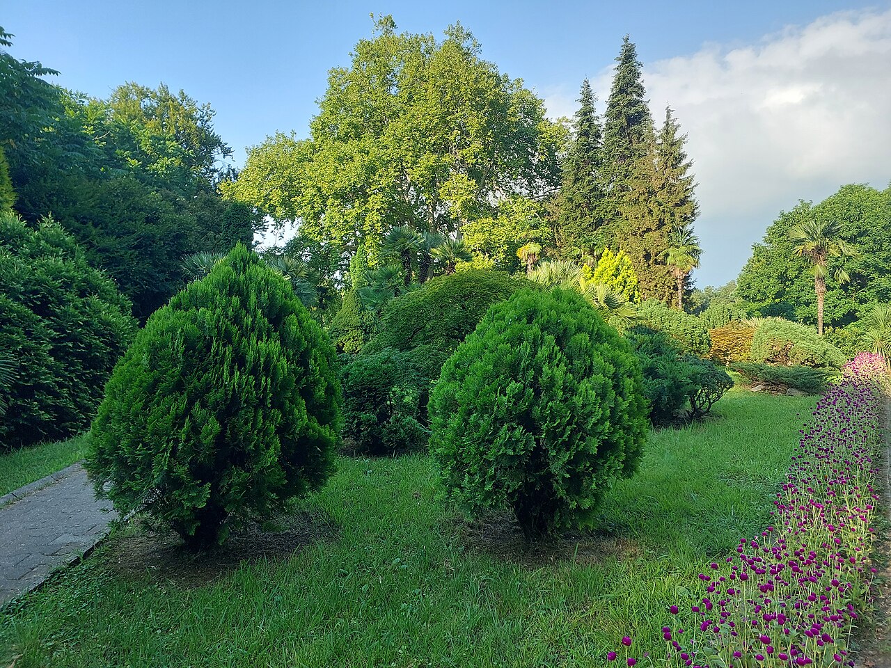 Mtsvane Kontskhi