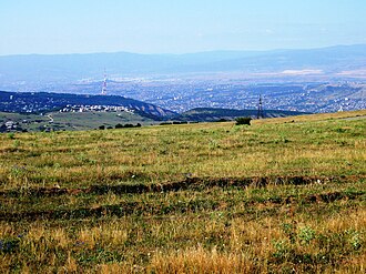 Табахмела