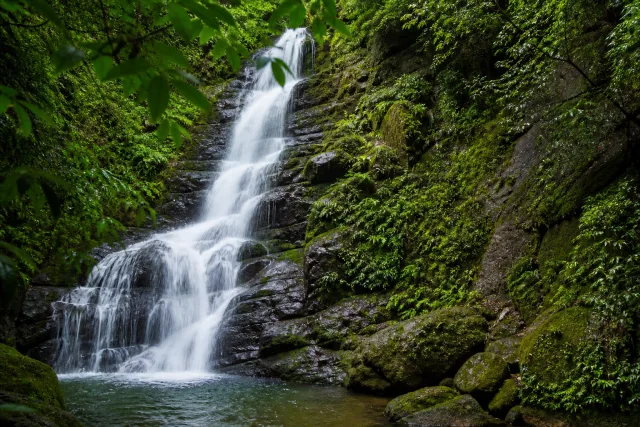 Mtirala Waterfall