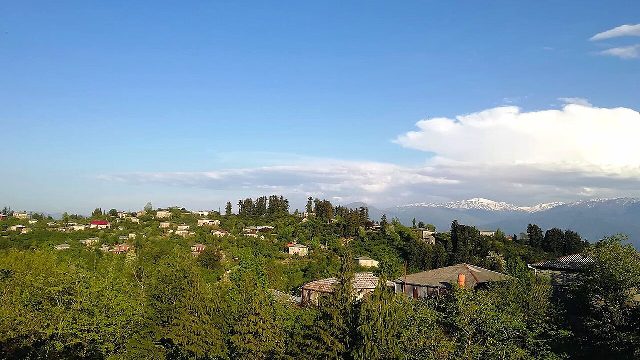 ქვედა ნასაკირალი