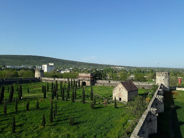 თამარისი