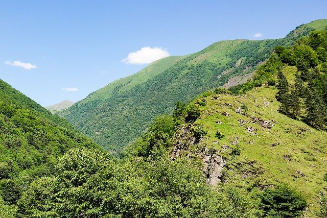 ბარისახო