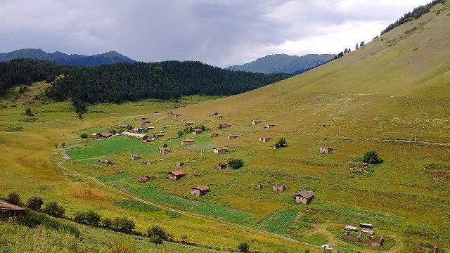 შენაქო