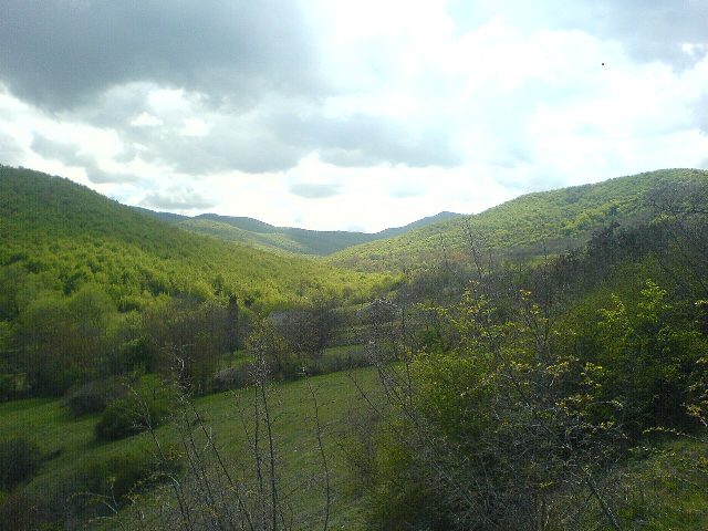 თიბაანი