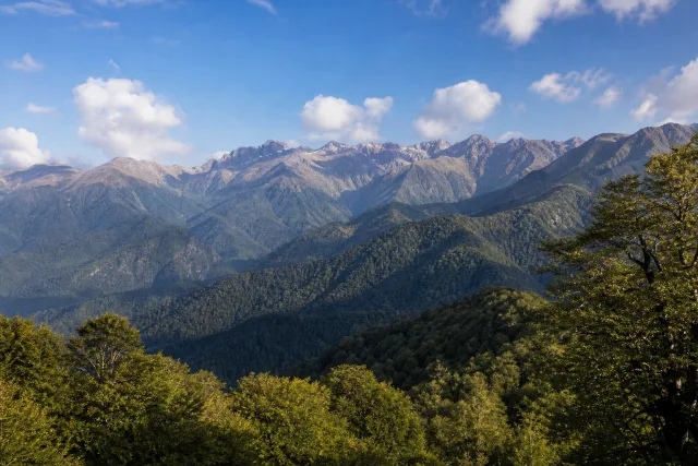 Lagodekhi Biosphere Reserve