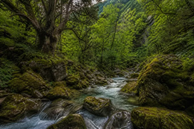 Batsara Strict Nature Reserve