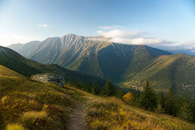 Lagodekhi National Park