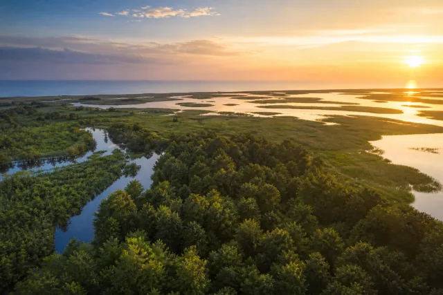 Kolkheti National Park