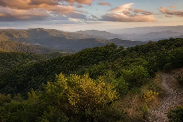 Tbilisi National Park