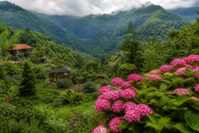 Mziuri