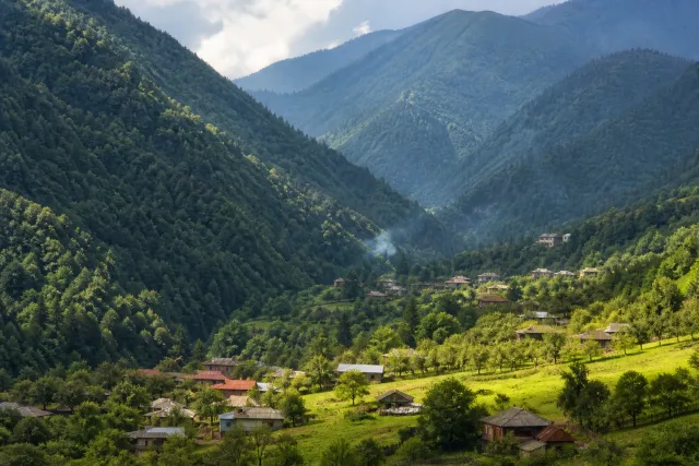 ზეში