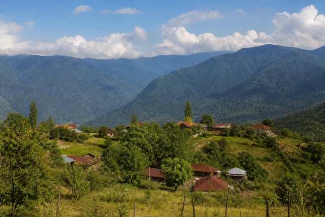 Vardisubani
