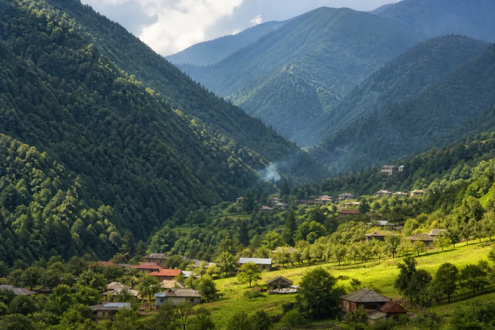 ზეში